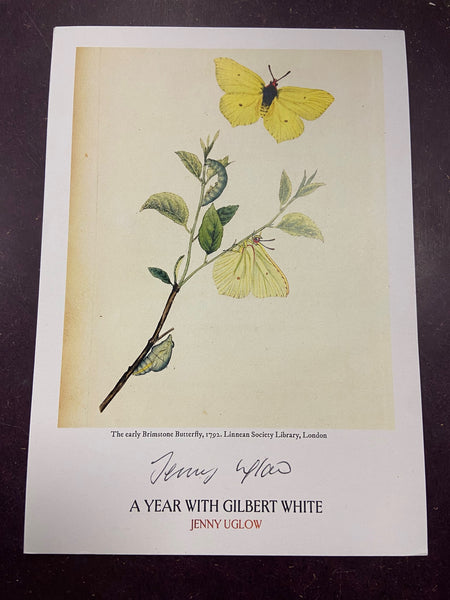 A Year with Gilbert White : The First Great Nature Writer